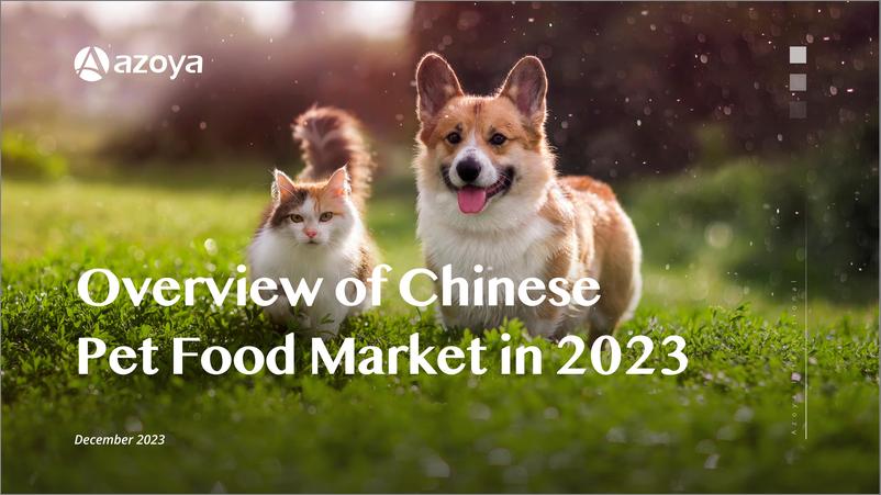 《2024中国宠物食品市场概览白皮书_英_-Azoya Consulting》 - 第1页预览图