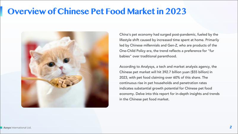 《2024中国宠物食品市场概览白皮书_英_-Azoya Consulting》 - 第2页预览图