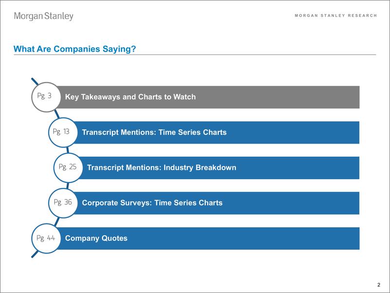 《Morgan Stanley-US Equity Strategy What Are Companies Saying-109805842》 - 第2页预览图