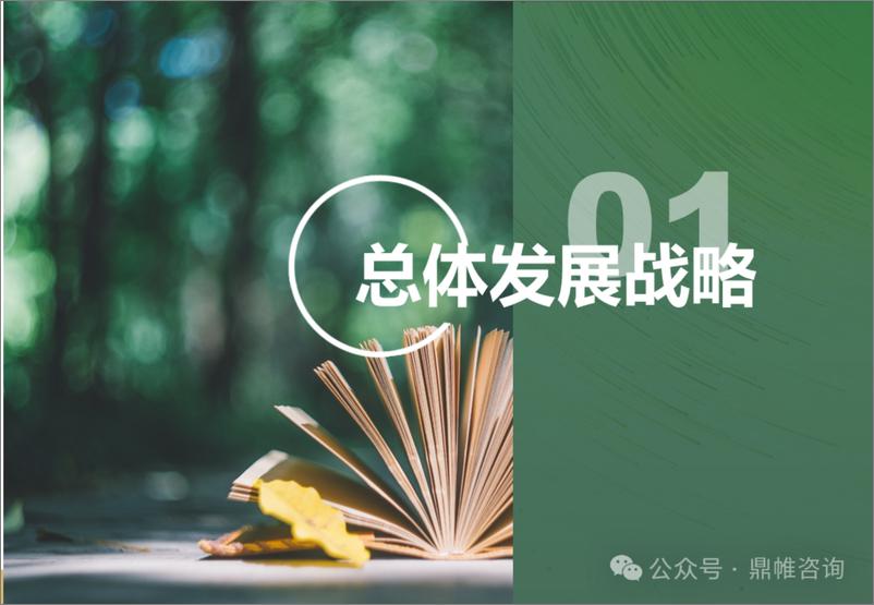 《鼎帷咨询_2024凤凰出版传媒集团发展战略研究报告》 - 第3页预览图