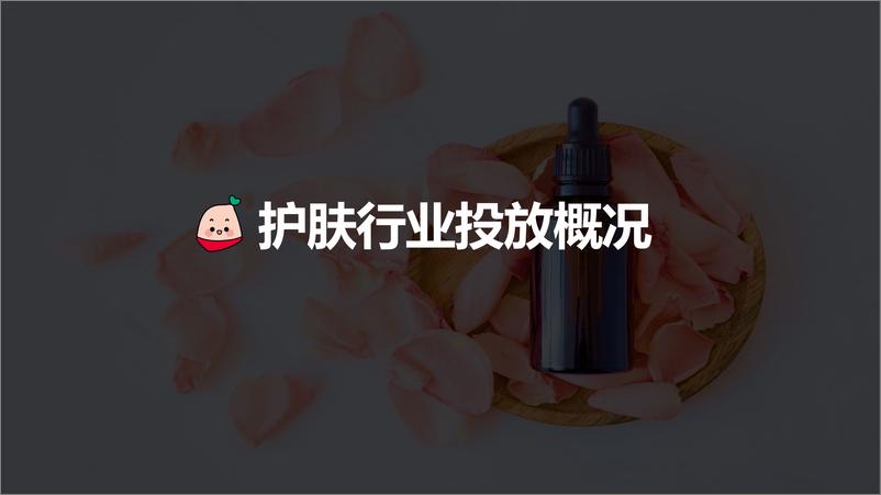 《小红书蒲公英护肤行业投放指南【互联网】【通案】》 - 第3页预览图