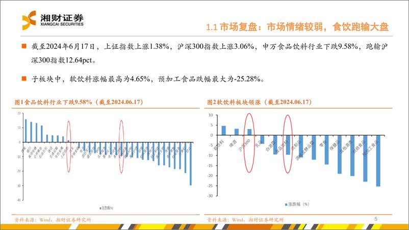 《食品饮料行业：从趋势看未来，把握韧性与弹性机遇-240705-湘财证券-44页》 - 第5页预览图