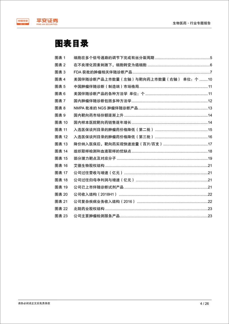 《生物医药行业专题报告：肿瘤伴随诊断，共享赛道，与精准医疗比翼齐飞-20190331-平安证券-26页》 - 第5页预览图