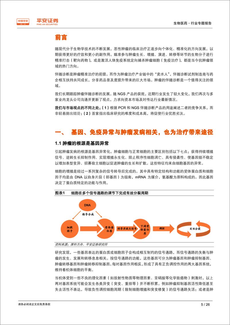 《生物医药行业专题报告：肿瘤伴随诊断，共享赛道，与精准医疗比翼齐飞-20190331-平安证券-26页》 - 第6页预览图