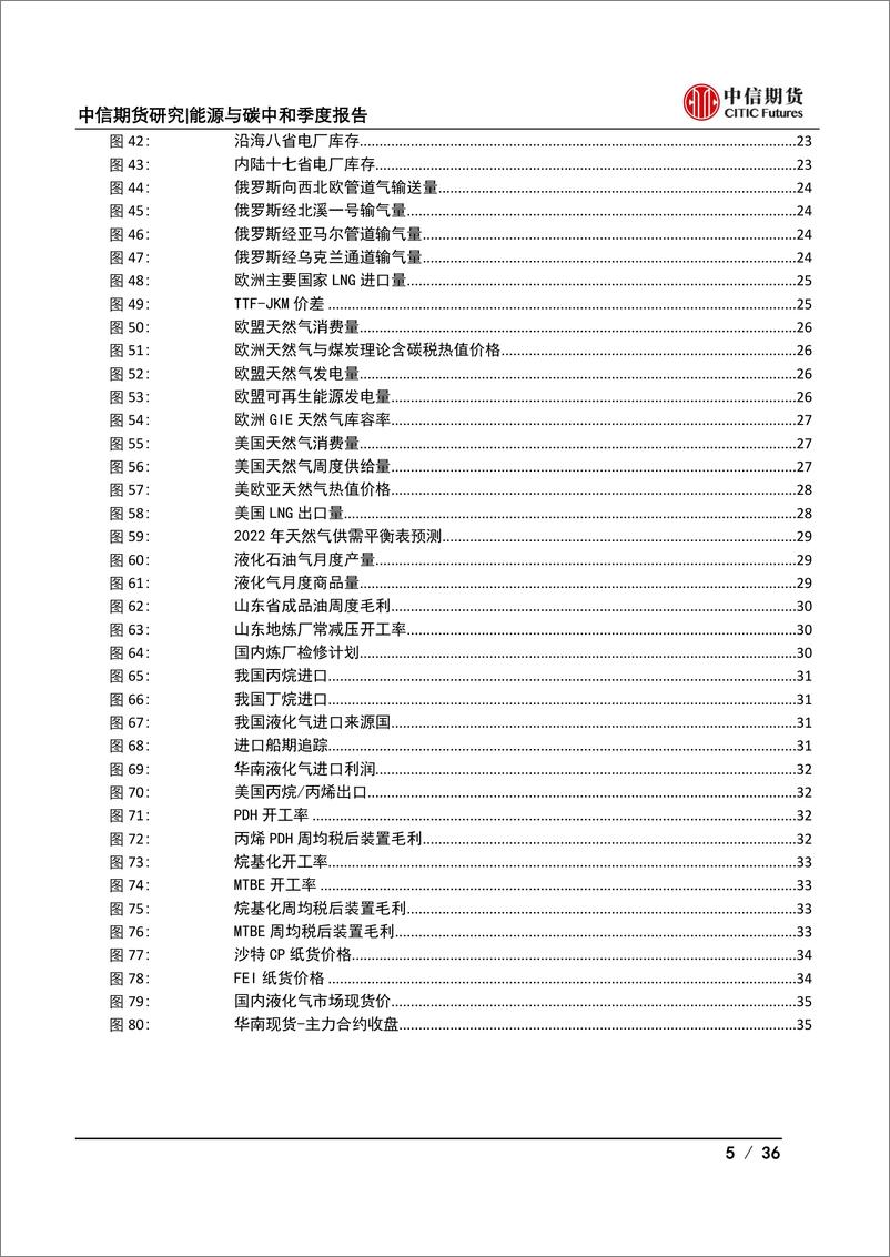 《能源与碳中和季度报告：地缘冲突扰动供需格局，全球能源分化加剧-20220321-中信期货-36页》 - 第6页预览图