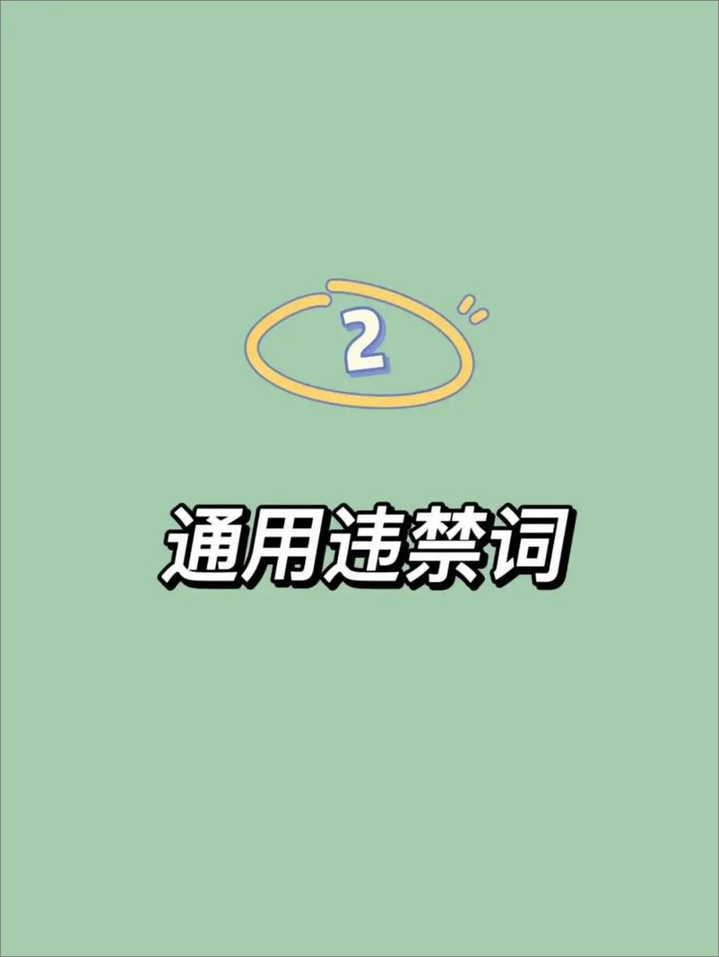 《2024抖音、小红书违禁词汇总》 - 第2页预览图