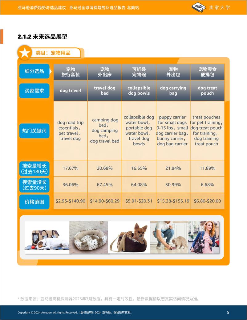 《2024年亚马逊全球消费趋势及选品报告-北美站》 - 第5页预览图