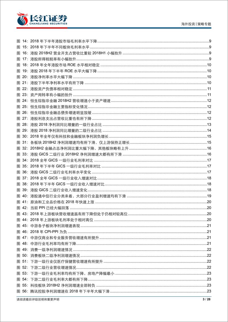 《港股2018年财报分析：全面放缓的增长-20190408-长江证券-28页》 - 第4页预览图