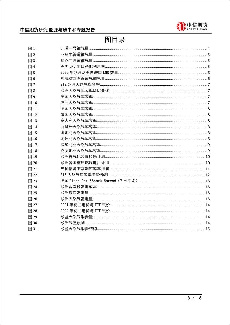 《能源与碳中和专题报告：北溪一号扰动频发，欧洲天然气、电力和大类资产价格何去何从？-20220721-中信期货-16页》 - 第4页预览图