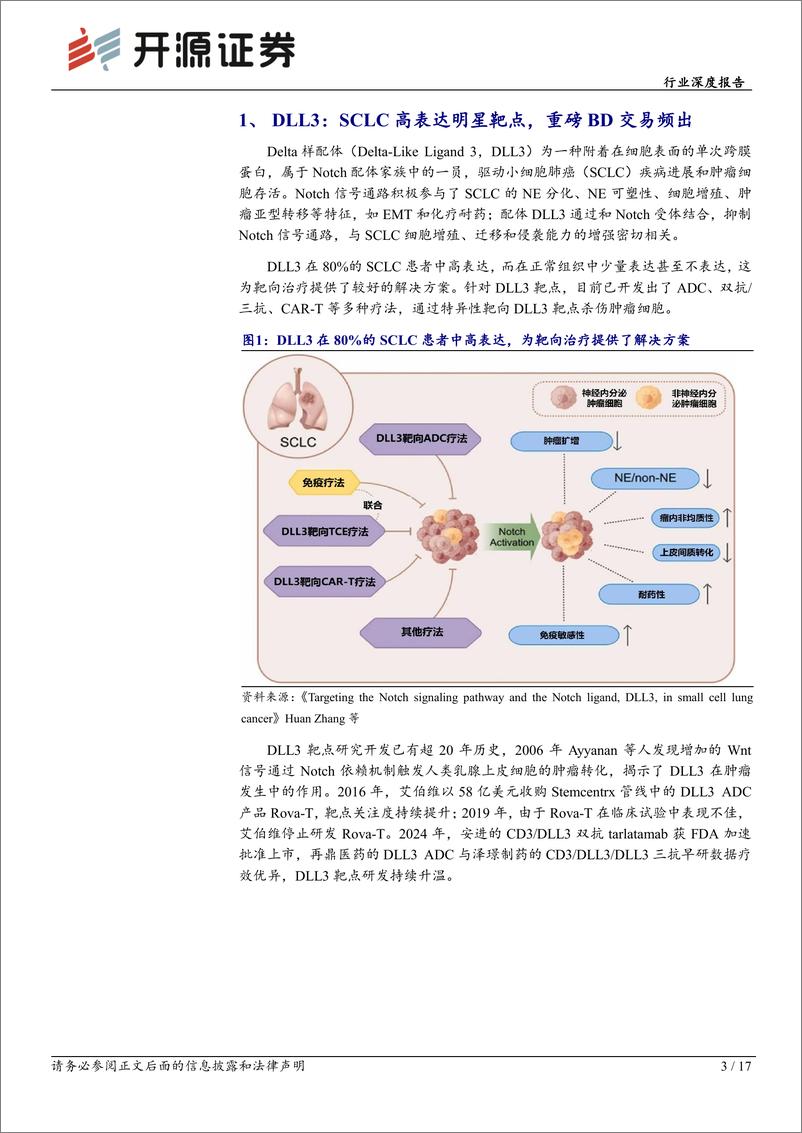 《生物制品行业深度报告-DLL3：SCLC高表达明星靶点，多款国产新药未来可期-241230-开源证券-17页》 - 第3页预览图