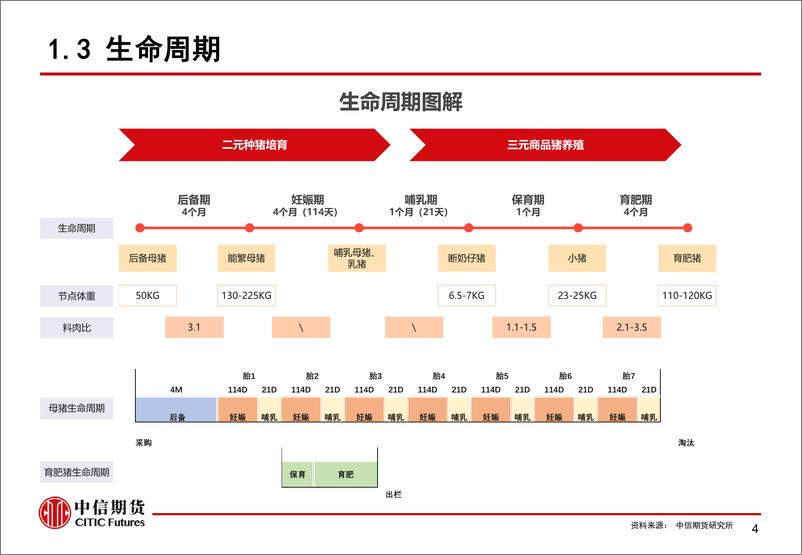 《系列报告一：打开黑匣子，行业成本测算新视角，新猪周期下，成本变化牵动哪些投资机会？-20220329-中信期货-28页》 - 第6页预览图