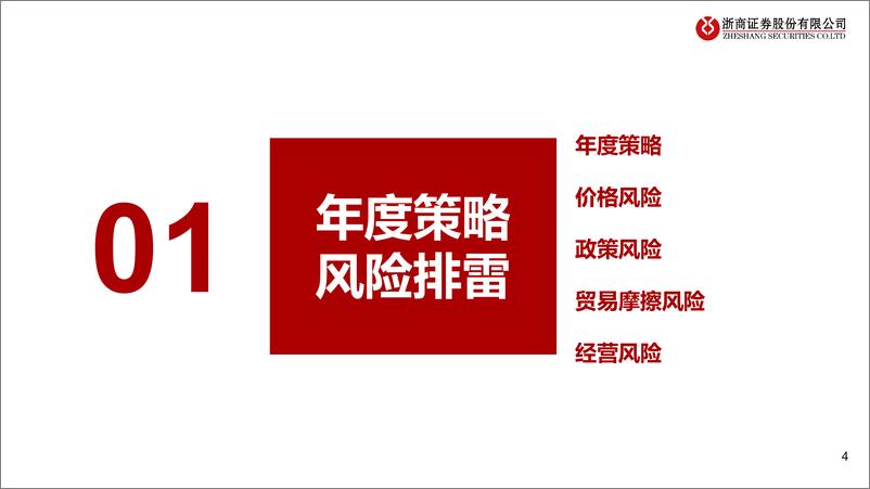 《浙商证券-基础化工年度策略报告姊妹篇_2025年基础化工行业风险排雷手册》 - 第4页预览图