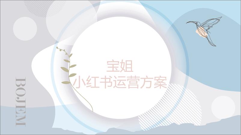 《宝姐珠宝奢侈品小红书推广策划运营方案》 - 第1页预览图