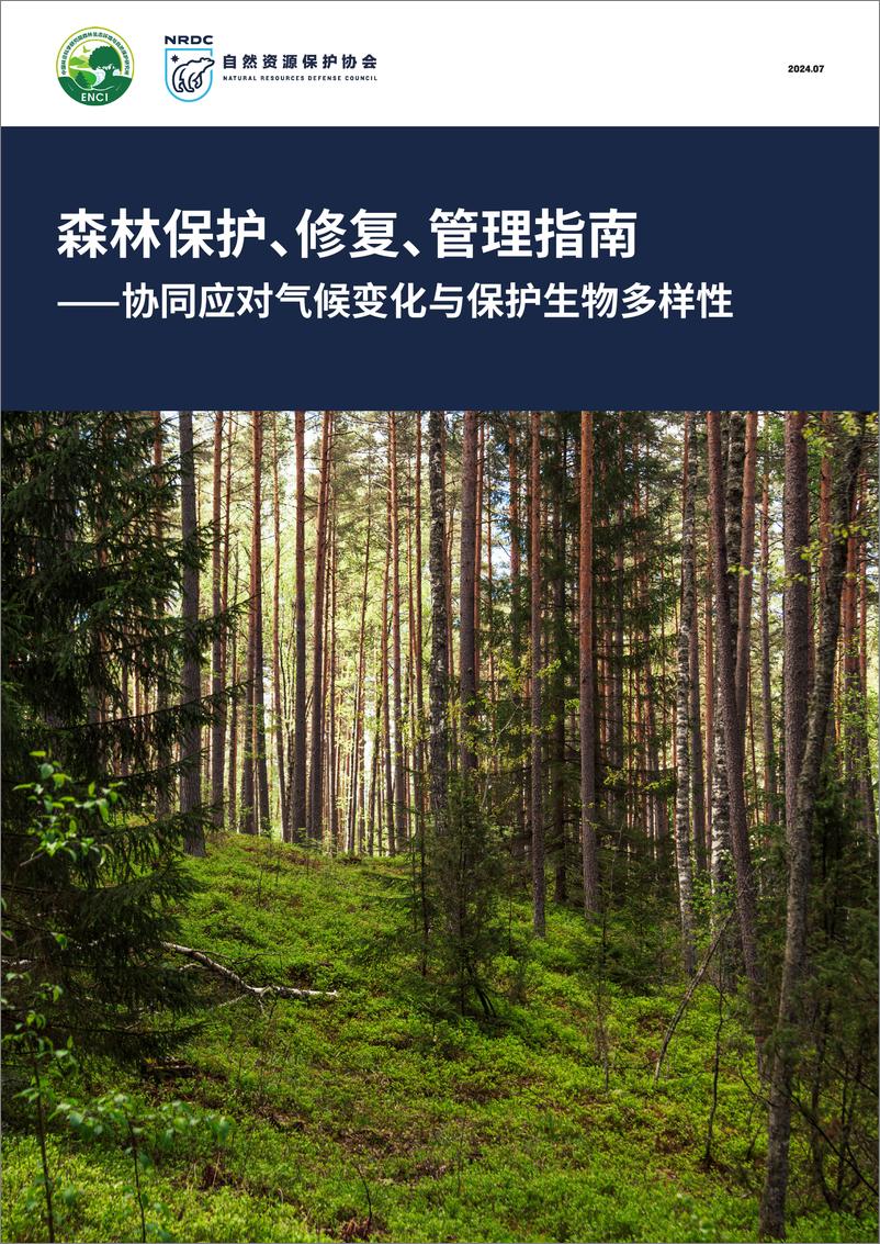 《森林保护_修复_管理指南——协同应对气候变化与保护生物多样性》 - 第1页预览图