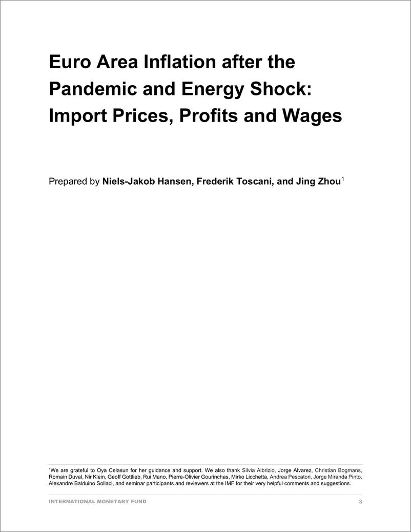 《IMF-疫情和能源冲击后的欧元区通货膨胀：进口价格、利润和工资（英）-2023.6-22页》 - 第4页预览图