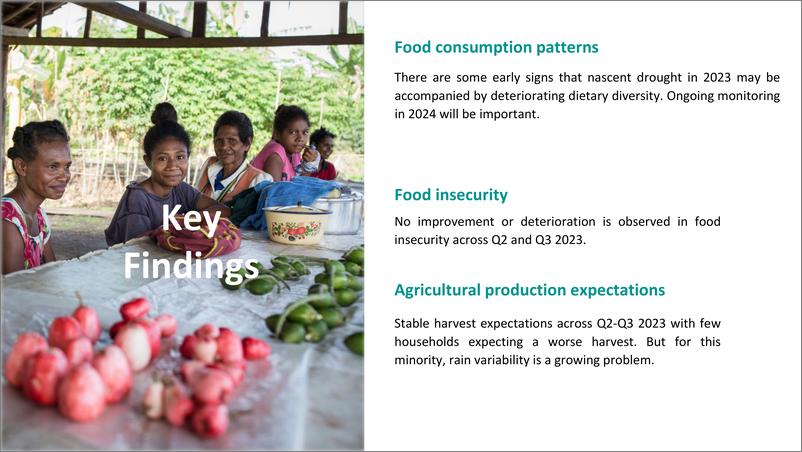 《世界银行-2023年巴布亚新几内亚的粮食安全监测-高频电话调查的见解：2023年4月至9月（英））-10页》 - 第3页预览图