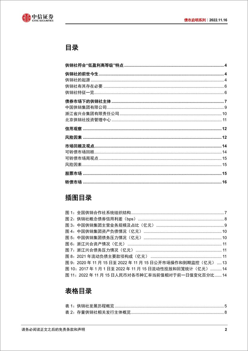 《债市启明系列：供销社概念债能否成为应对债市调整的良药-20221116-中信证券-39页》 - 第3页预览图