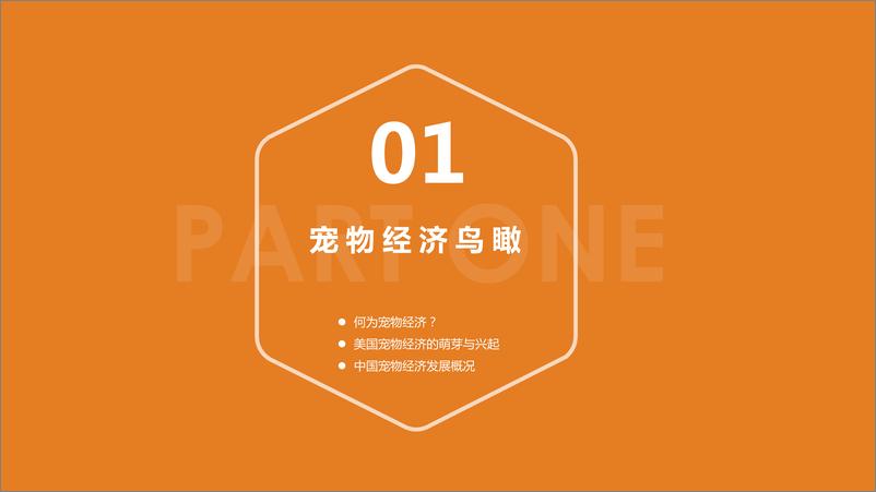 《宠物经济发展趋势研究报告-苏宁金融研究院》 - 第3页预览图