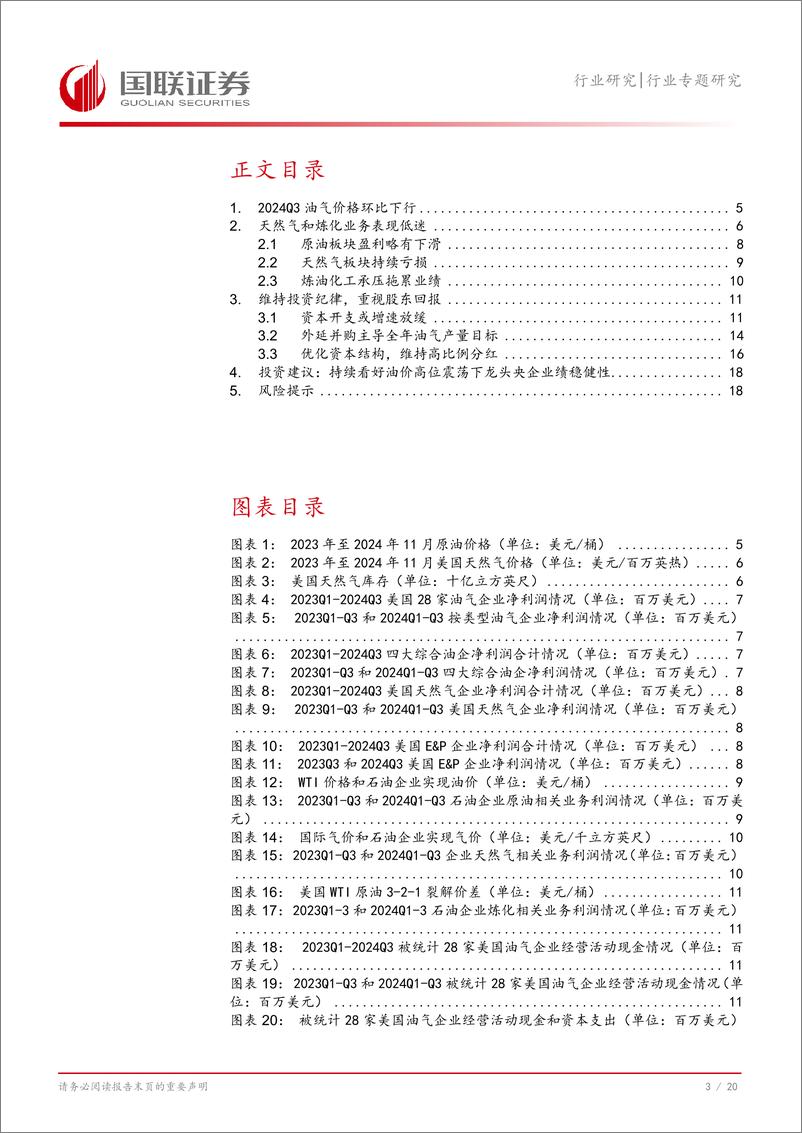 《石油石化行业美国油气企业2024Q3总结：特朗普尚未能扭转股东诉求-241121-国联证券-21页》 - 第4页预览图