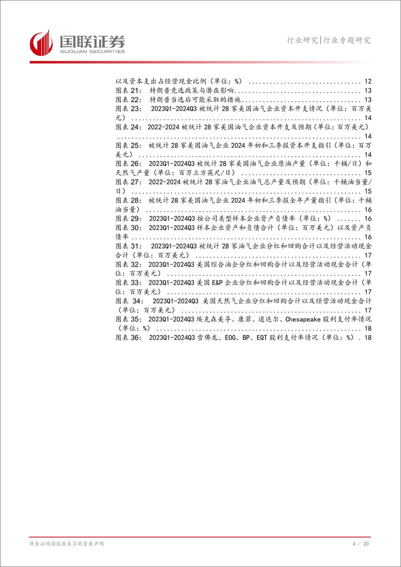 《石油石化行业美国油气企业2024Q3总结：特朗普尚未能扭转股东诉求-241121-国联证券-21页》 - 第5页预览图