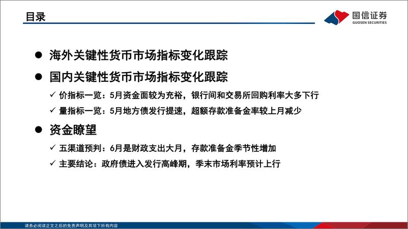 《投资策略·固定收益2024年第六期：资金观察，货币瞭望，政府债进入发行高峰期，季末市场利率预计上行-240620-国信证券-28页》 - 第3页预览图