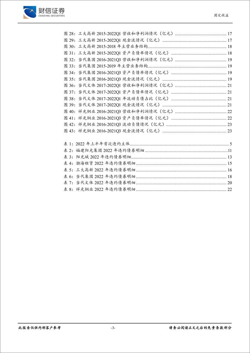 《2022年上半年债券违约专题报告：债市违约复盘与分析-20220701-财信证券-25页》 - 第4页预览图