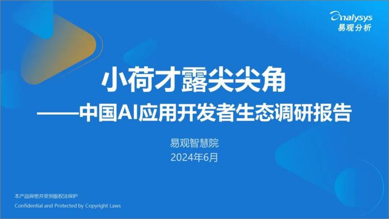 《中国AI应用开发者生态调研报告》 - 第1页预览图