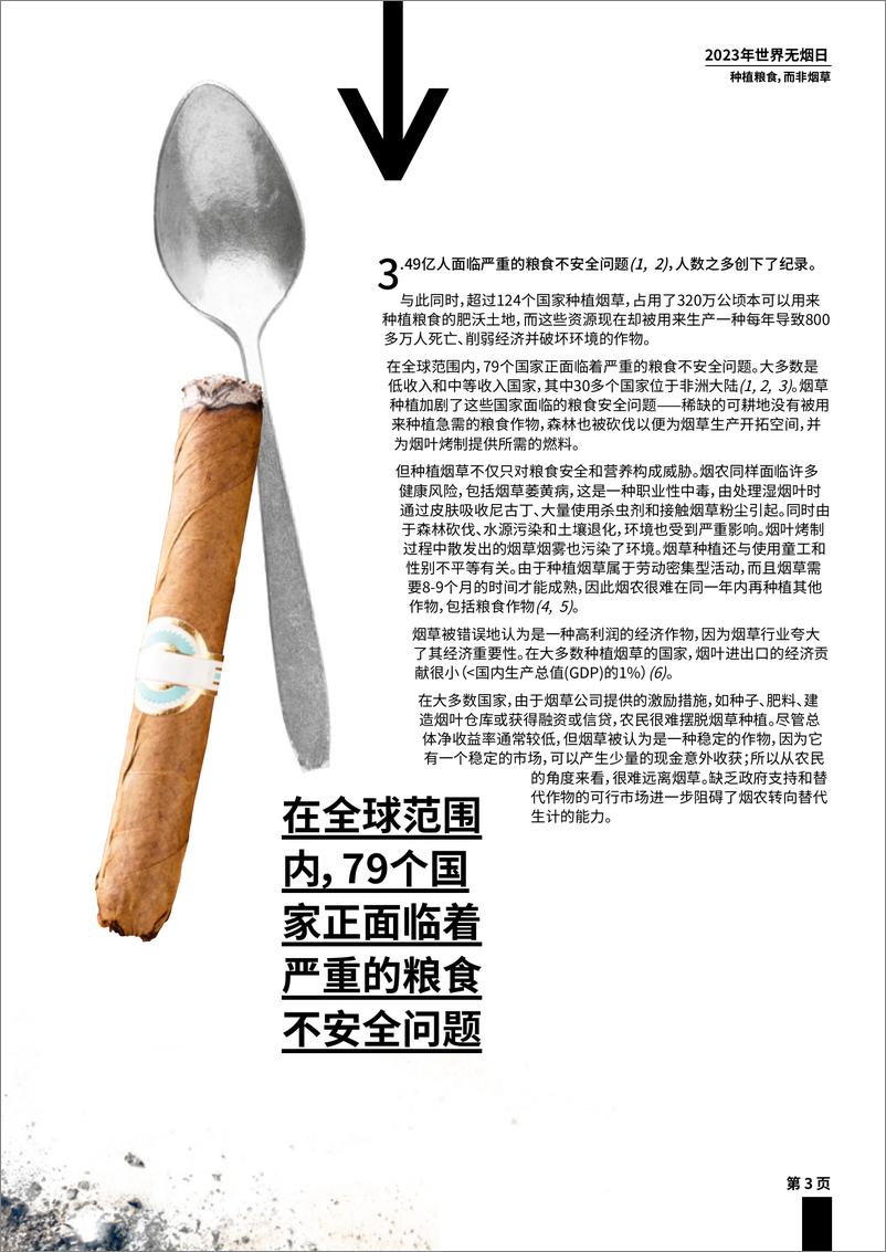 《WHO+2023年世界无烟日：种植粮食，而不是烟草（中文）-36页》 - 第6页预览图
