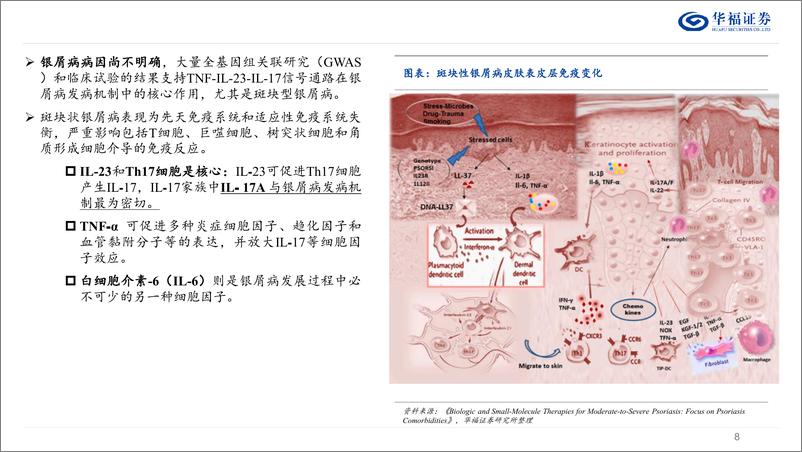 《自身免疫疾病行业系列报告(一)：银屑病，结构性错位修复，看好IL抑制剂成长潜力-240704-华福证券-39页》 - 第8页预览图