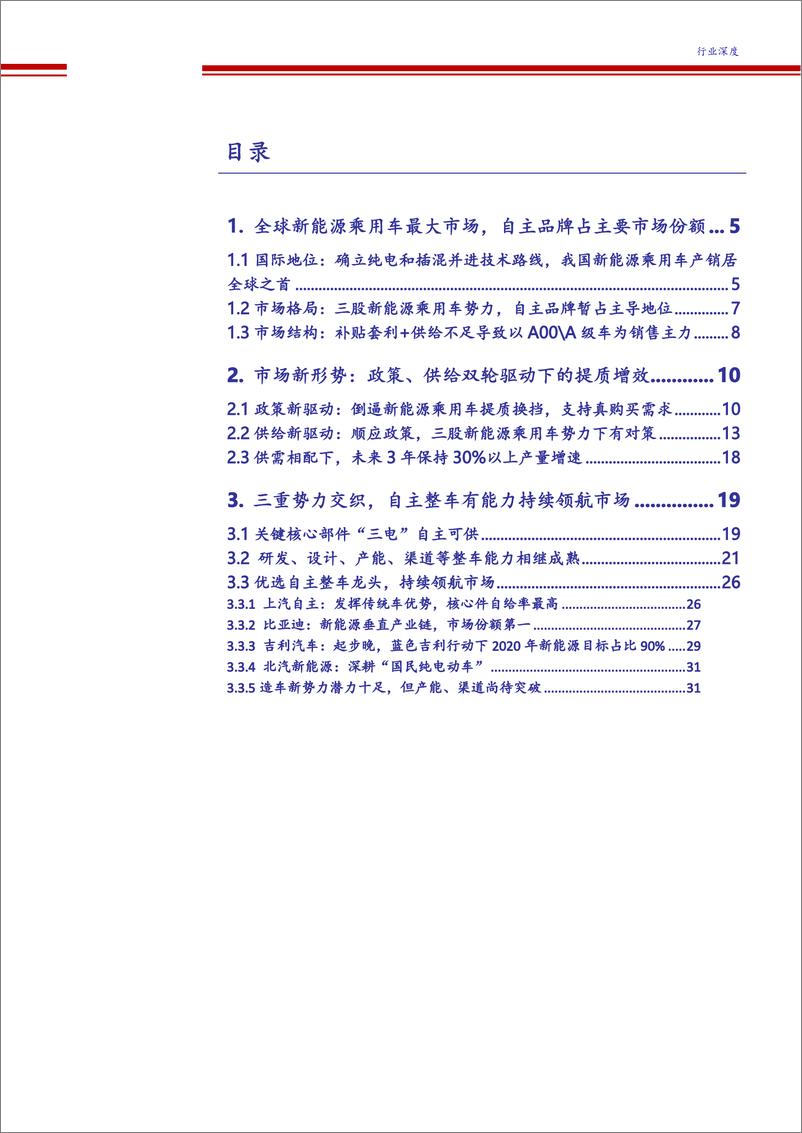 《新能源乘用车形势研究-我主沉浮》 - 第2页预览图