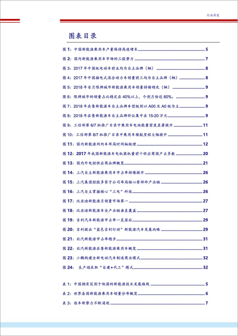 《新能源乘用车形势研究-我主沉浮》 - 第3页预览图