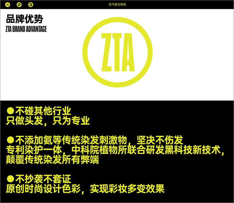 《生气斑马ZTA 品牌介绍》 - 第4页预览图