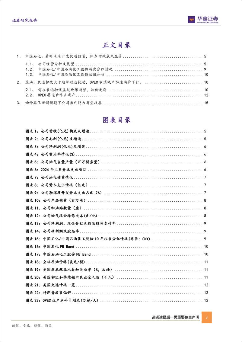 《中国石化_600028_-公司动态研究报告_持续增加优质储量_油价下行催化公司利润修复-华鑫证券》 - 第3页预览图