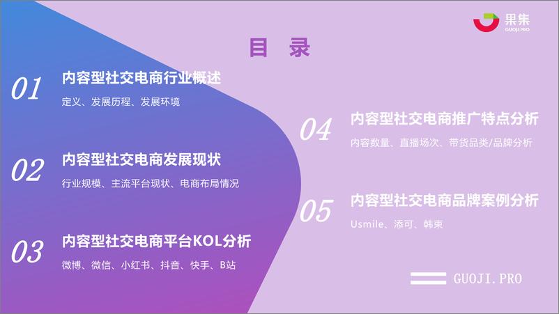 《【果集数据】2021年上半年内容型社交电商行业分析报告》 - 第3页预览图