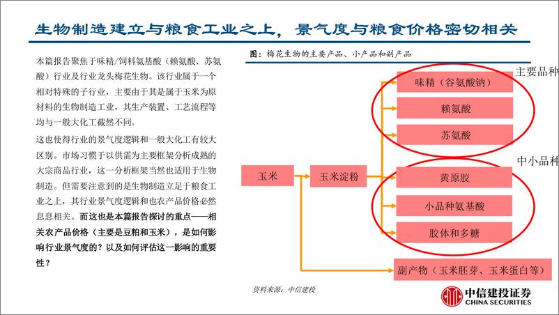 《梅花生物(600873)从农产品视角看公司的业绩上行周期-241113-中信建投-28页》 - 第4页预览图