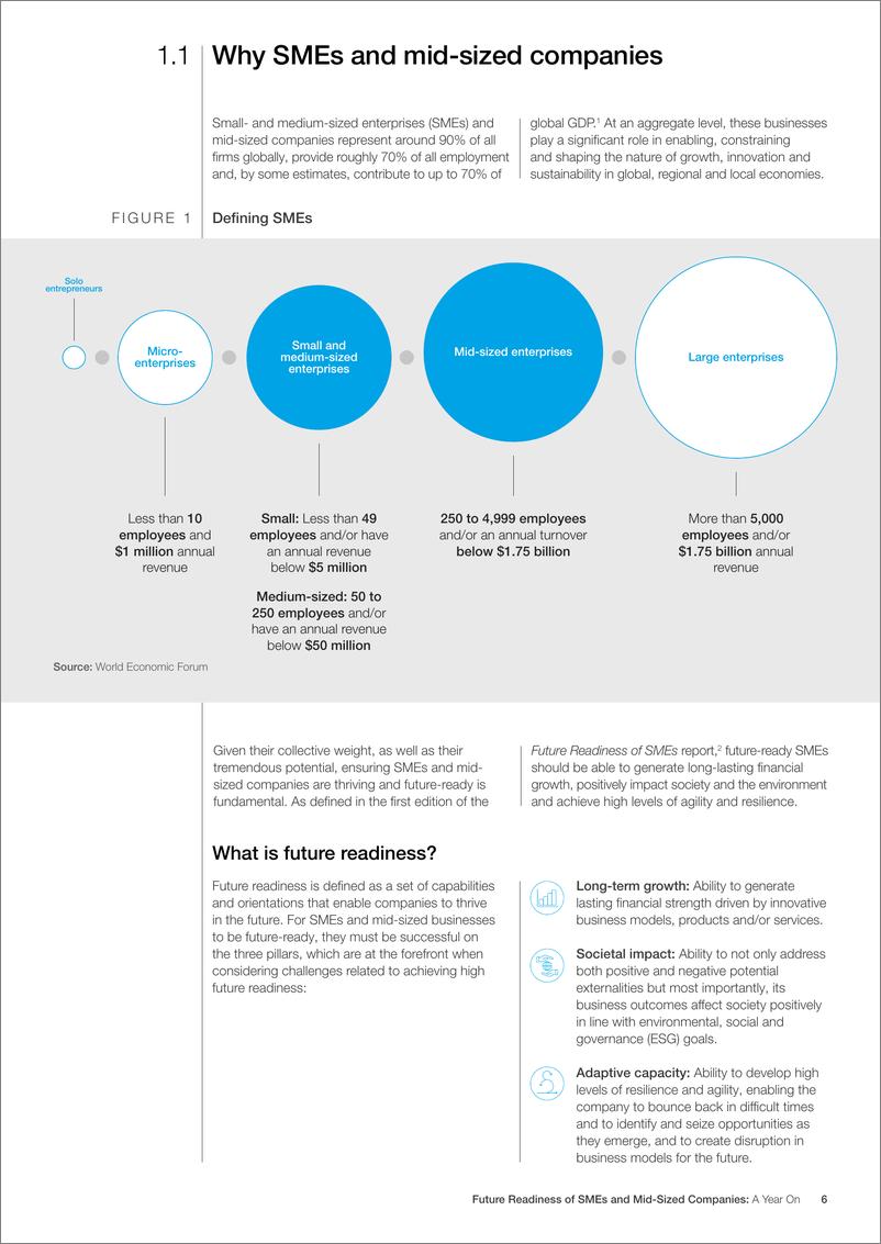 《中小企业和中型企业的未来就绪度——年度综述》-38页 - 第7页预览图