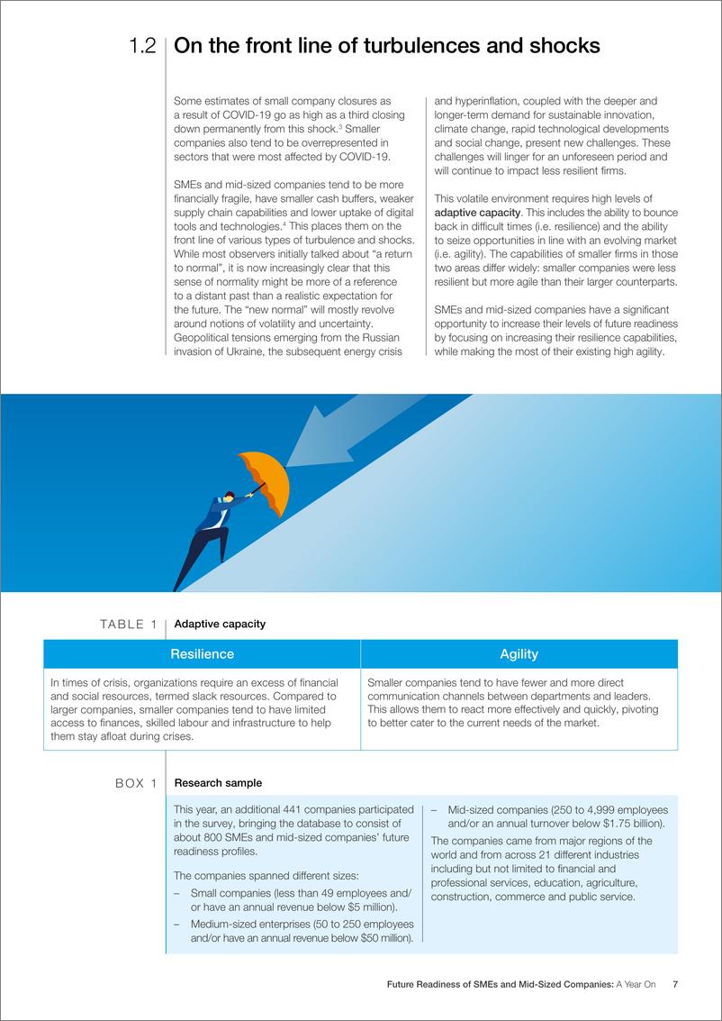 《中小企业和中型企业的未来就绪度——年度综述》-38页 - 第8页预览图