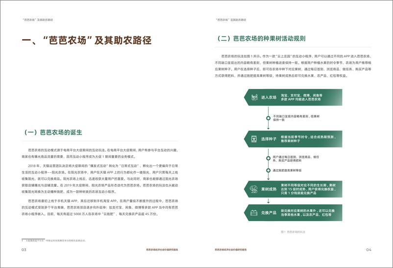 《中国人民大学&淘天集团_2024年芭芭农场经济社会价值研究报告》 - 第4页预览图