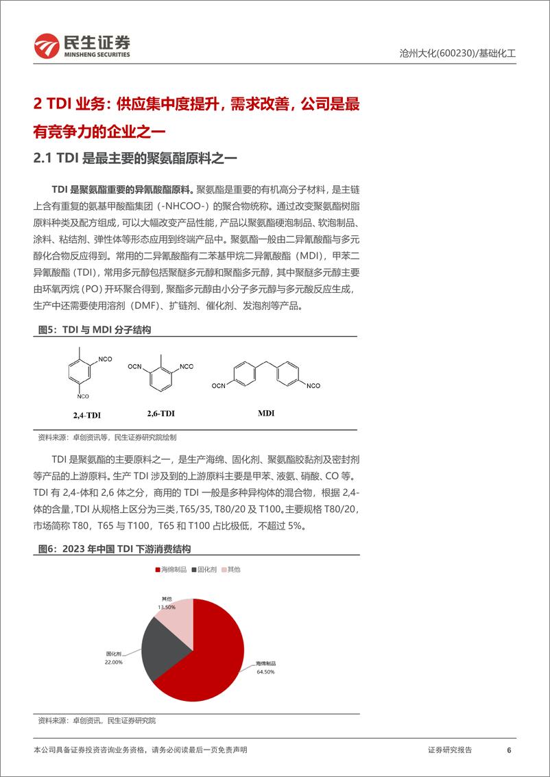 《沧州大化(600230)首次覆盖报告：旧貌换新颜，TDI和PC两大核心产品再突破-240807-民生证券-26页》 - 第6页预览图