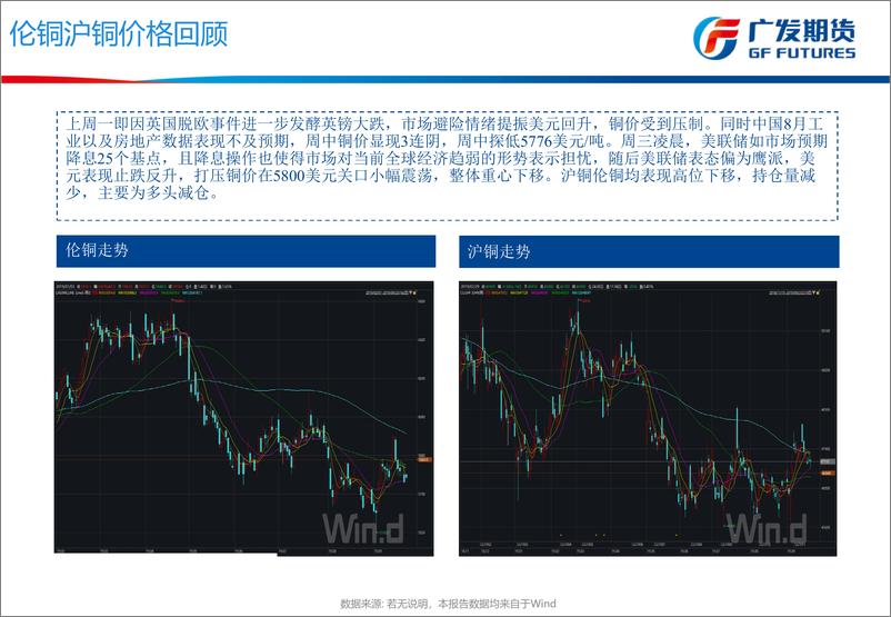 《国庆前夕短暂降温，长期看好铜价回暖-20190923-广发期货-30页》 - 第6页预览图