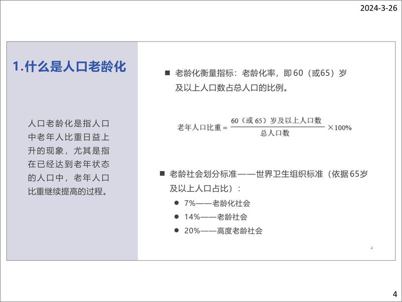 《2024银发电商发展报告》 - 第4页预览图