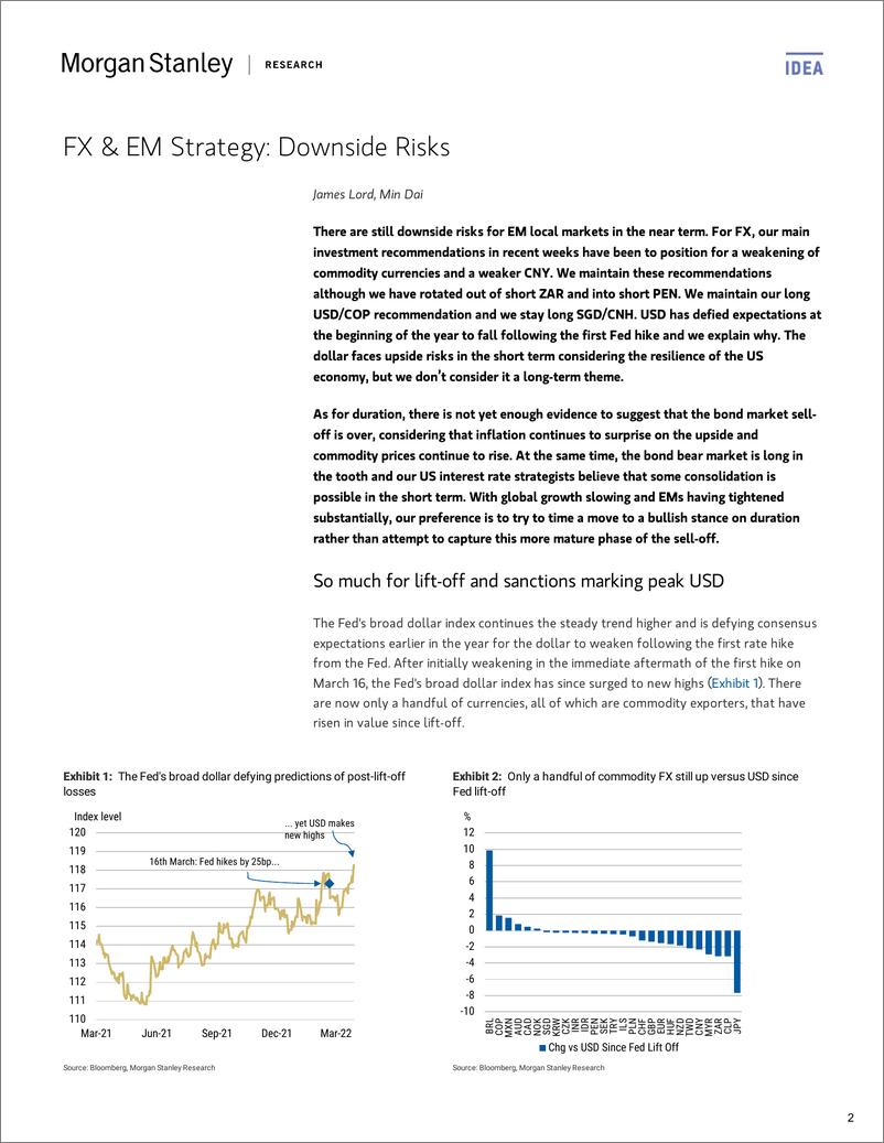《摩根士丹利-新兴市场投资策略-商品逆转-2022.4.25-49页》 - 第3页预览图