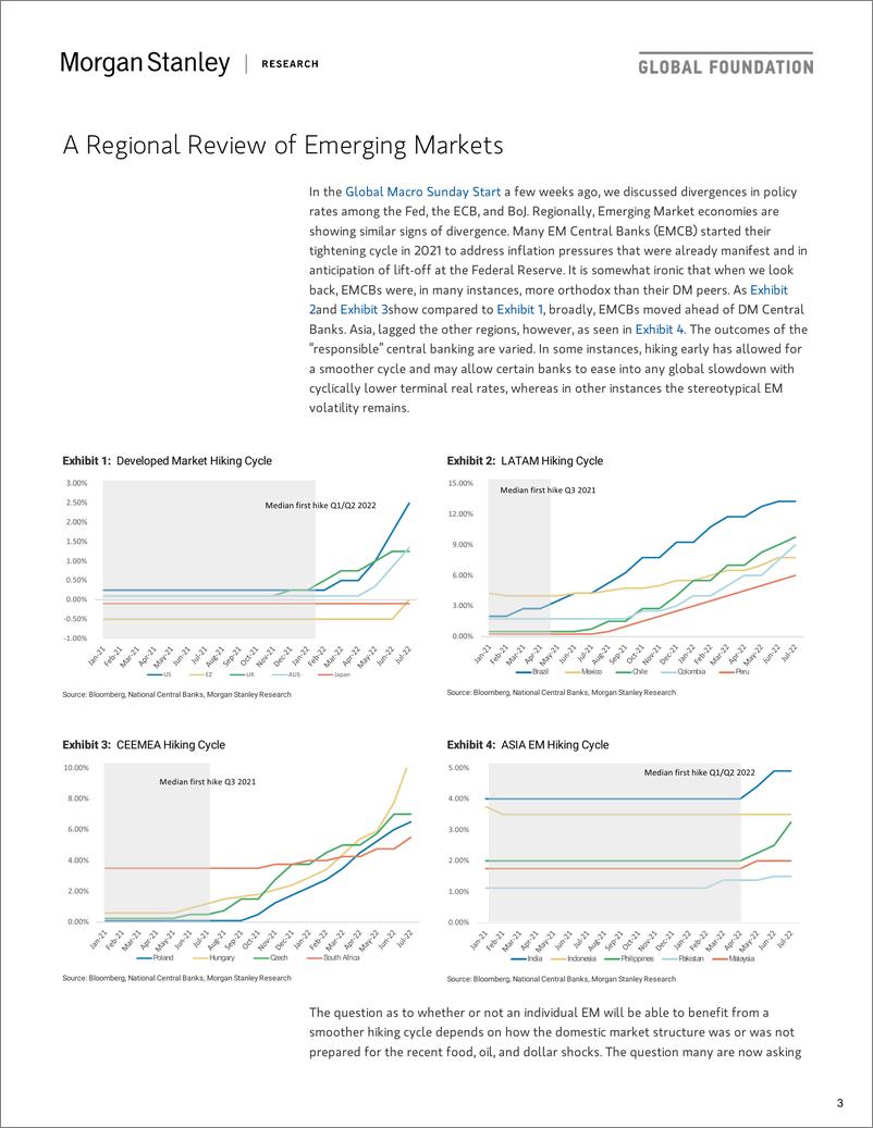 《Global Economics Global Central Bank Monitor》 - 第4页预览图