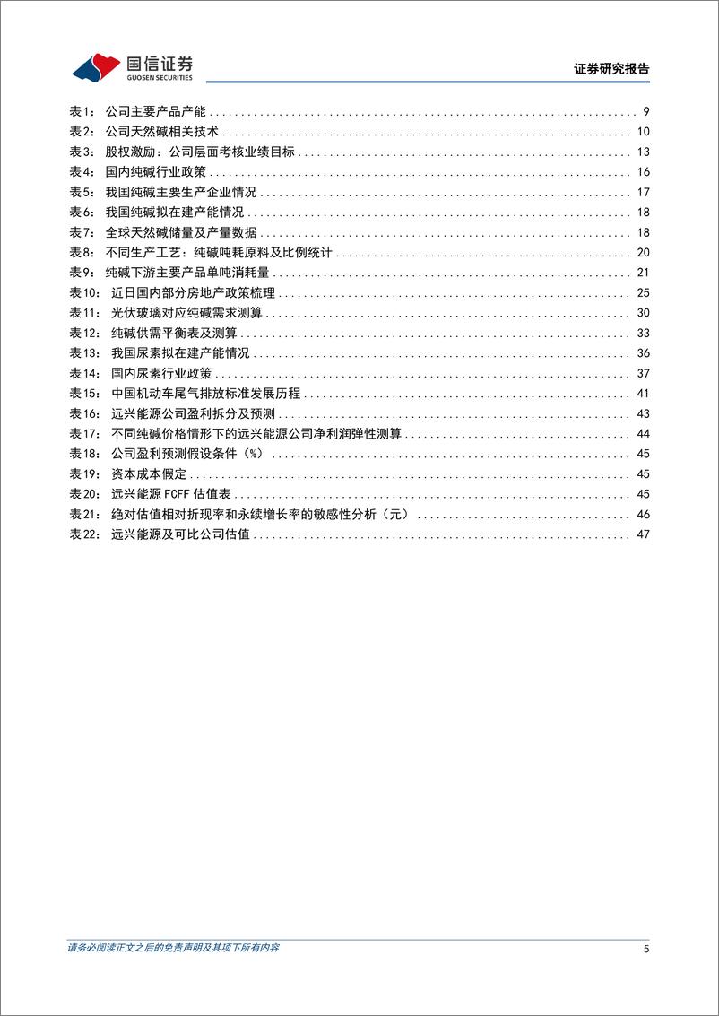 《国信证券-远兴能源-000683-资源稀缺且优势突出的天然碱行业龙头》 - 第5页预览图