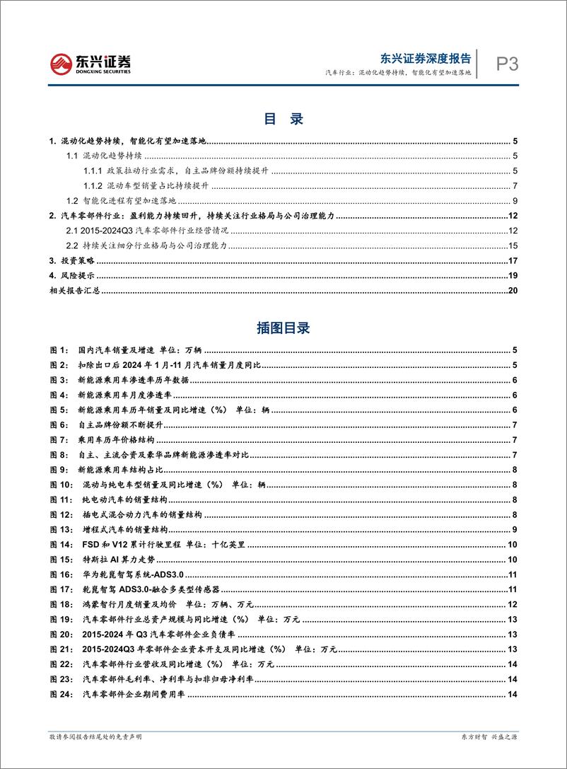 《汽车行业2025年投资展望：混动化趋势持续，智能化有望加速落地-东兴证券-241220-22页》 - 第3页预览图