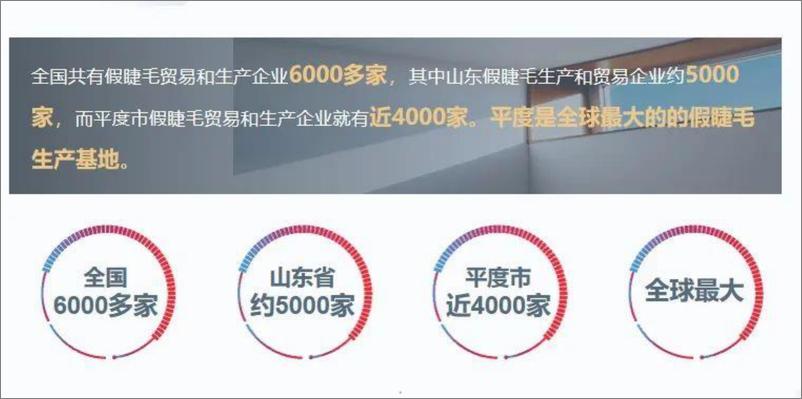 《全联美容化妆品业商会：2023中国美睫产业白皮书》 - 第5页预览图