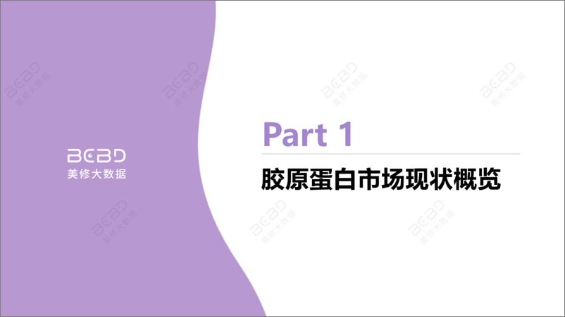 《胶原蛋白市场趋势洞察-美丽修行》 - 第4页预览图