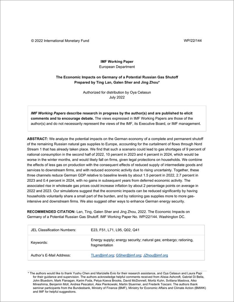 《IMF-俄罗斯天然气潜在关闭对德国的经济影响（英）-2022.7-31页》 - 第3页预览图