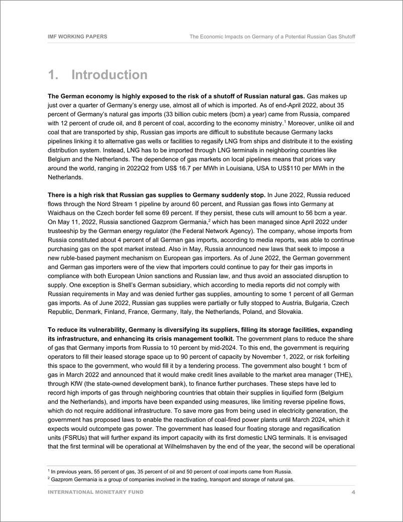 《IMF-俄罗斯天然气潜在关闭对德国的经济影响（英）-2022.7-31页》 - 第5页预览图