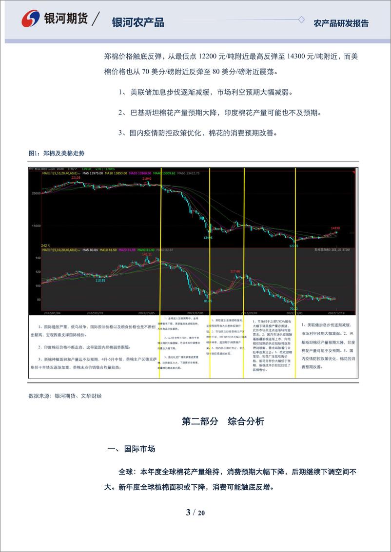 《农产品年报：棉系，不畏途艰，砥砺前行-20221224-银河期货-20页》 - 第4页预览图